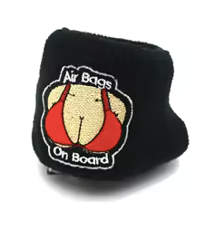 Air Bags on Board